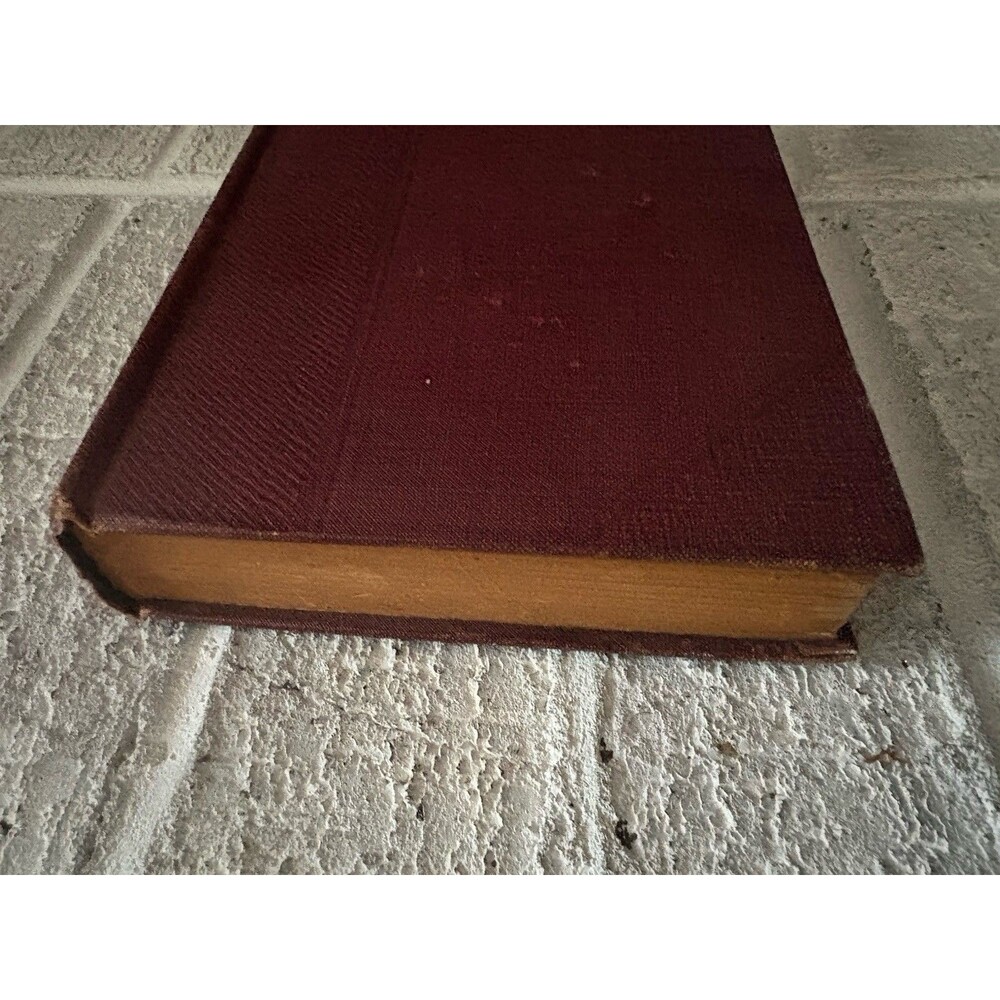 Antique Classic The Call of the Wild Jack London 1915 Hardcover Illustrated Book - Picture 3 of 12